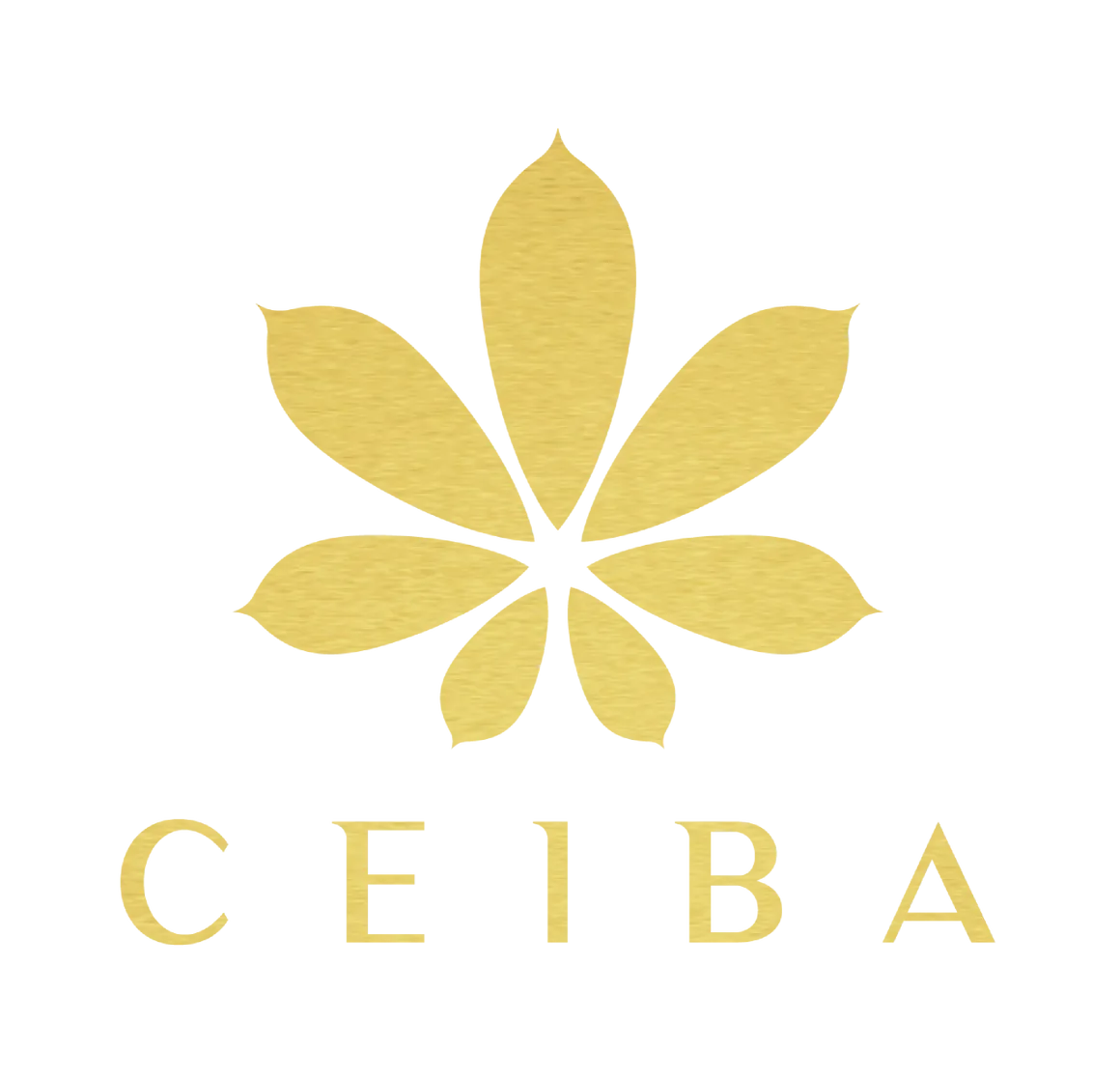 Plaza Ceiba