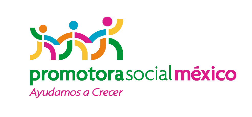 Promotora Social México