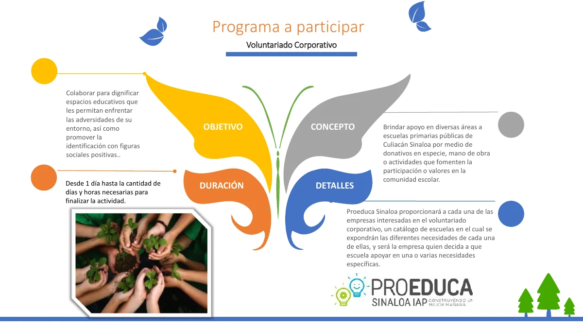 Ficha del programa de voluntariado corporativo